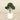 Trees-Artificial Panda Ficus Tree 100cm-Bloomr