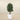 Trees-Artificial Panda Ficus Tree 120cm-Bloomr