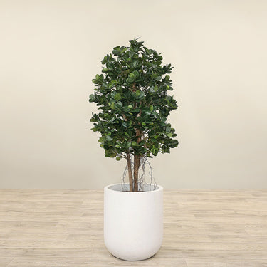 Trees-Artificial Panda Ficus Tree 120cm-Bloomr