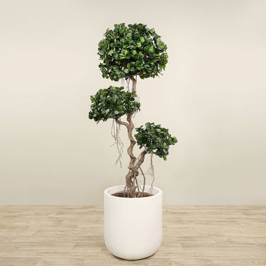 Trees-Artificial Panda Ficus Tree 180cm-Bloomr