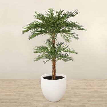Trees-Artificial Phoenix Palm Tree <br> 240cm-Bloomr