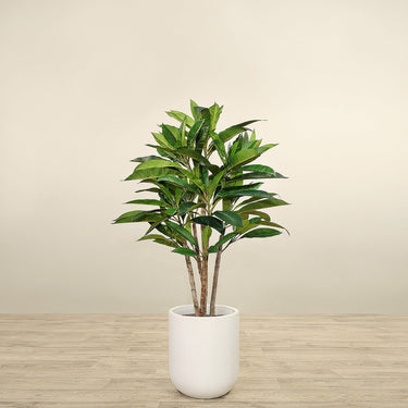 Trees-Artificial Plumeria Tree 120cm-Bloomr
