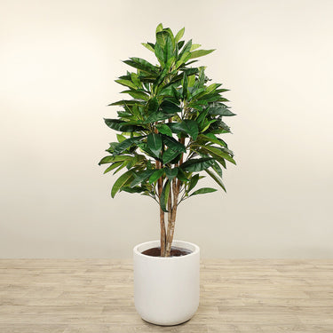 Trees-Artificial Plumeria Tree 180cm-Bloomr