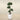 Trees-Artificial Podocarpus Tree 150cm-Bloomr