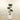 Trees-Artificial Podocarpus Tree 150cm-Bloomr