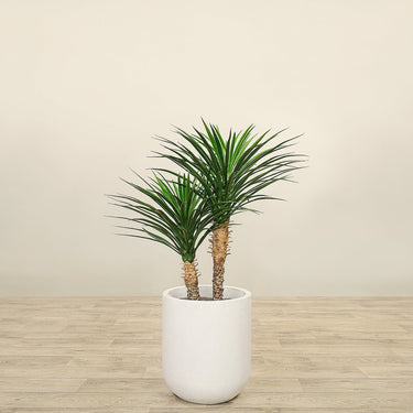 Trees-Artificial Yucca Plant 100cm-Bloomr