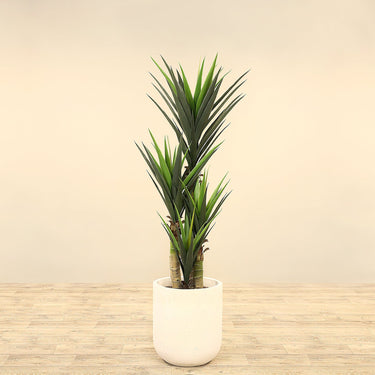 Trees-Artificial Yucca Plant 150cm-Bloomr