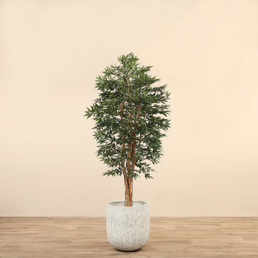 Trees-Artificial Shirakashi Tree <br> 150cm-Bloomr