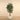 Trees-Artificial Shirakashi Tree <br>180cm-Bloomr