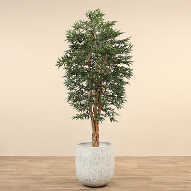 Trees-Artificial Shirakashi Tree <br>210cm-Bloomr
