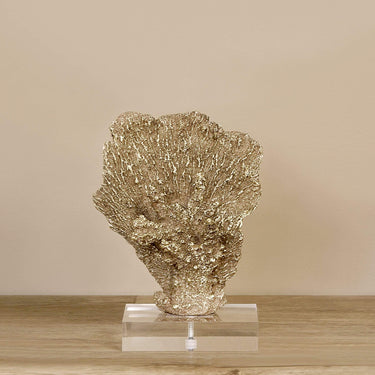 Accessories-Coral with Acrylic-Bloomr