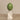 Accessories-Pine Cone-Bloomr