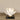 Accessories-Magnolia with Acrylic-Bloomr