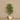 '-Artificial Longifolia Tree 150cm-Bloomr