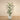 '-Artificial Palm Tree 240cm-Bloomr