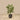 Trees-Artificial Calathea Tree <br> 105cm-Bloomr