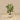 Trees-Artificial Calathea Tree <br> 105cm-Bloomr
