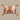 Cushions-Cushion Cover-Bloomr