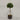 Desginers Collection-Artificial Laurel Tree with Pot-Bloomr