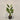 Desginers Collection-Artificial Travelers Palm with Pot-Bloomr