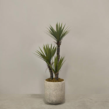 Desginers Collection-Artificial Yucca Plant With Pot-Bloomr