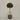 Desginers Collection-Artificial Laurel Tree with Pot-Bloomr