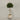 Desginers Collection-Artificial Laurel Tree with Pot-Bloomr
