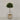 Desginers Collection-Artificial Laurel Tree with Pot-Bloomr