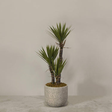 Desginers Collection-Artificial Yucca Plant With Pot-Bloomr