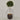 Desginers Collection-Artificial Laurel Tree with Pot-Bloomr