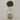 Desginers Collection-Artificial Laurel Tree with Pot-Bloomr
