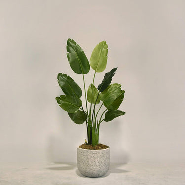 Desginers Collection-Artificial Travelers Palm with Pot-Bloomr