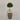 Desginers Collection-Artificial Laurel Tree with Pot-Bloomr