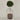Desginers Collection-Artificial Laurel Tree with Pot-Bloomr