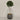 Desginers Collection-Artificial Laurel Tree with Pot-Bloomr