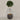 Desginers Collection-Artificial Laurel Tree with Pot-Bloomr