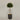 Desginers Collection-Artificial Laurel Tree with Pot-Bloomr