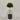Desginers Collection-Artificial Laurel Tree with Pot-Bloomr