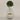 Desginers Collection-Artificial Laurel Tree with Pot-Bloomr