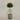 Desginers Collection-Artificial Laurel Tree with Pot-Bloomr