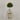 Desginers Collection-Artificial Laurel Tree with Pot-Bloomr