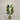 Desginers Collection-Artificial Strelitzia With Pot-Bloomr