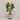 Desginers Collection-Artificial Travelers Palm with Pot-Bloomr