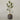 Desginers Collection-Artificial Draecena With Pot-Bloomr