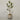 Desginers Collection-Artificial Draecena With Pot-Bloomr