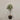 Desginers Collection-Artificial Olive Tree With Pot-Bloomr