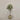 Desginers Collection-Artificial Olive Tree With Pot-Bloomr