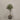 Desginers Collection-Artificial Olive Tree With Pot-Bloomr