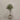 Desginers Collection-Artificial Olive Tree With Pot-Bloomr