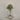 Desginers Collection-Artificial Olive Tree With Pot-Bloomr